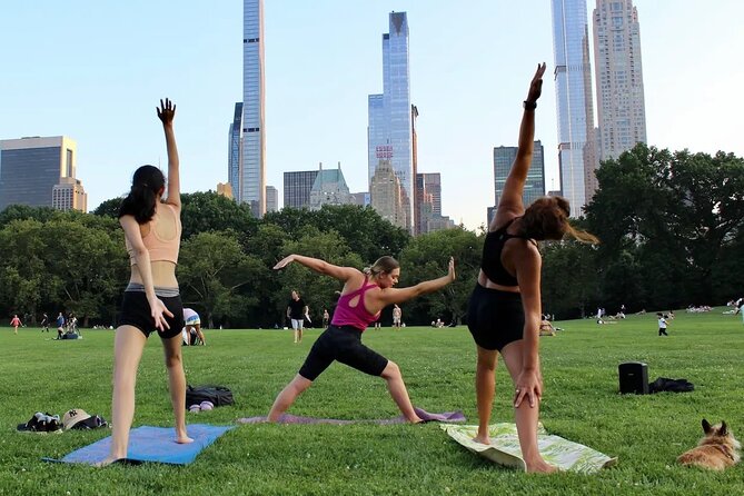 Yoga in Central Park 1